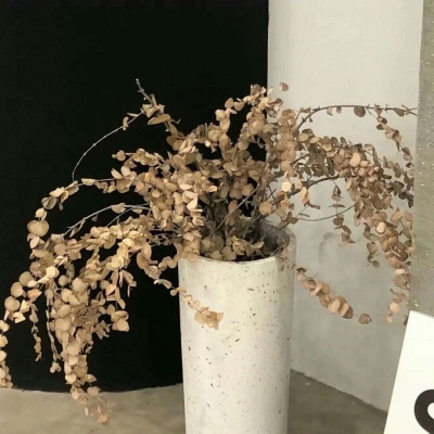 天祝FurryQQ群介绍